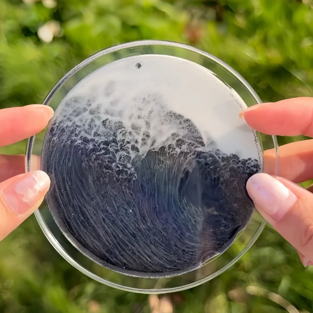 Ocean Tide — Handcrafted Moving Wave Sand Art Coaster