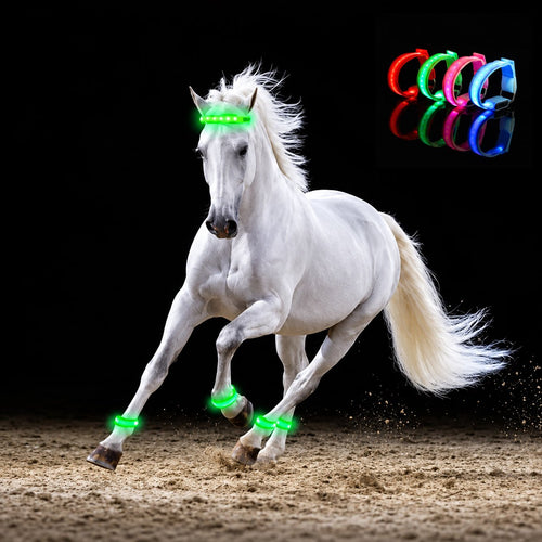 4-Pack LED Horse Leg Visibility Straps – 3 Lighting Modes, 5 Color Options, Adjustable Fit for Evening Riding & Equestrian Activities