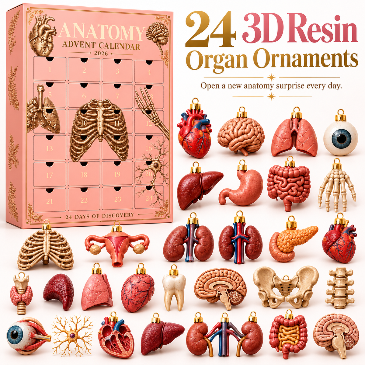 2026 Anatomy Advent Calendar – 24 Days of 3D Resin Organ Ornaments