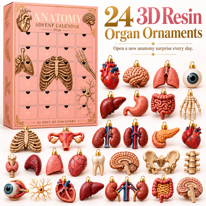 2026 Anatomy Advent Calendar – 24 Days of 3D Resin Organ Ornaments