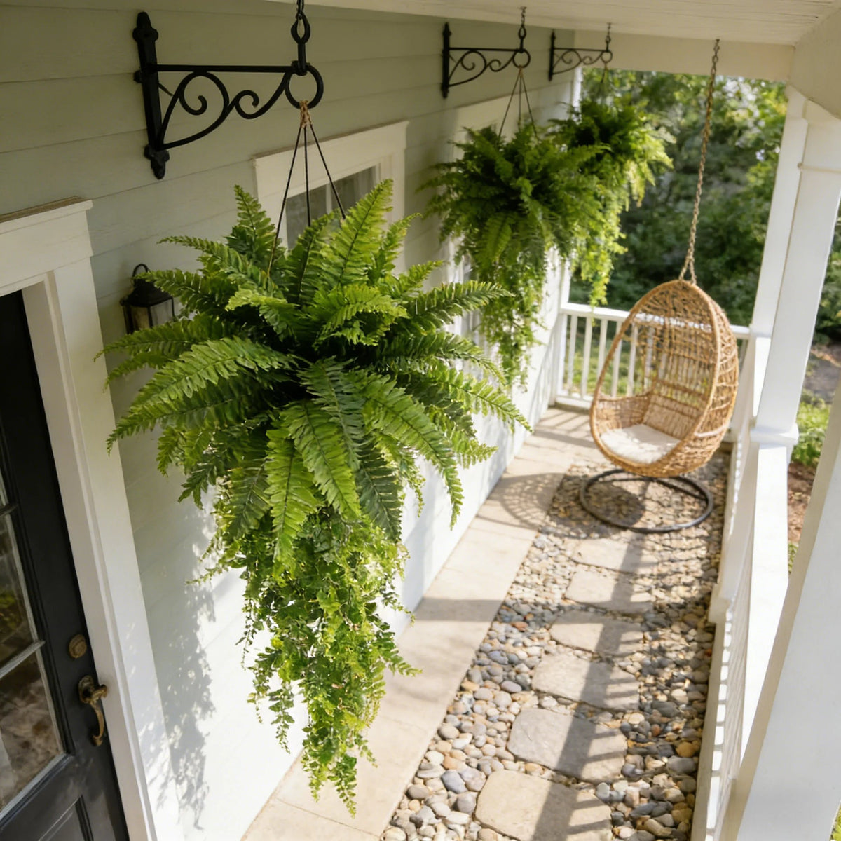 Overhead view of a full cascading artificial fern beside porch seating