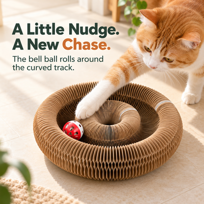 🐾 Foldable Honeycomb Cat Scratcher & Bell Ball Toy