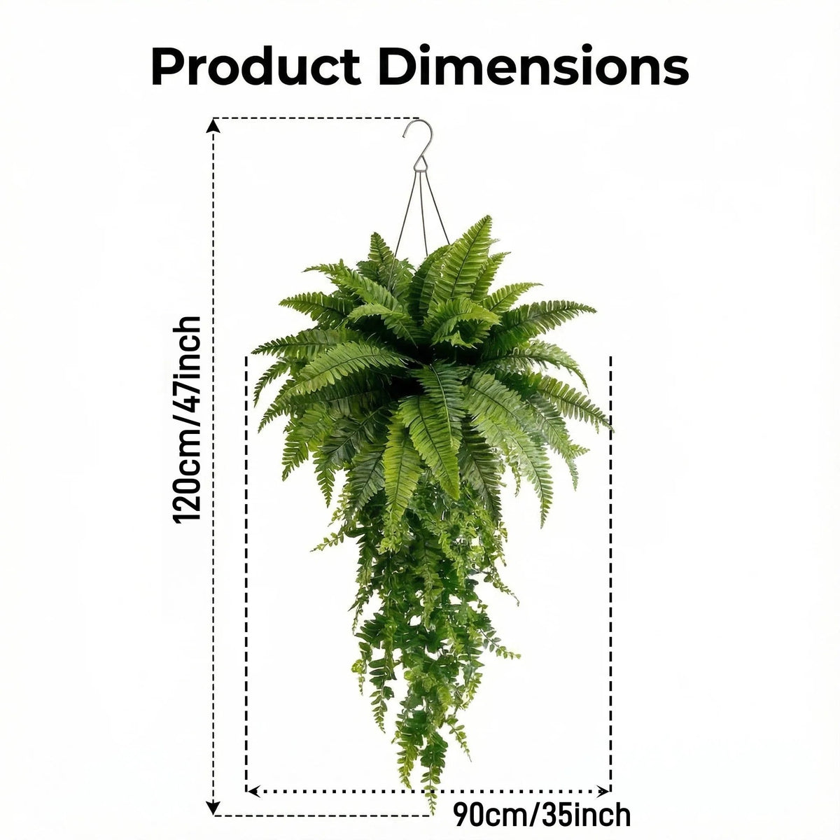 Boston fern size guide showing approximately 47 inches hanging length and 35 inches spread