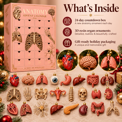 2026 Anatomy Advent Calendar – 24 Days of 3D Resin Organ Ornaments