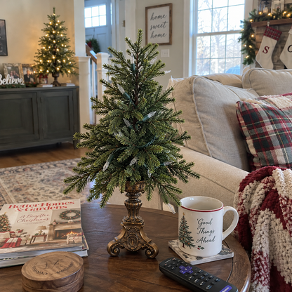 🎄✨Vintage Tabletop Christmas Trees