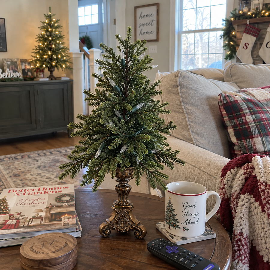 A miniature tree on a living room coffee table