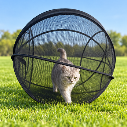 🔥🐱 Pop-Up Cat Playpen 🌿 Fresh Air, Safe Space, Happy Cat