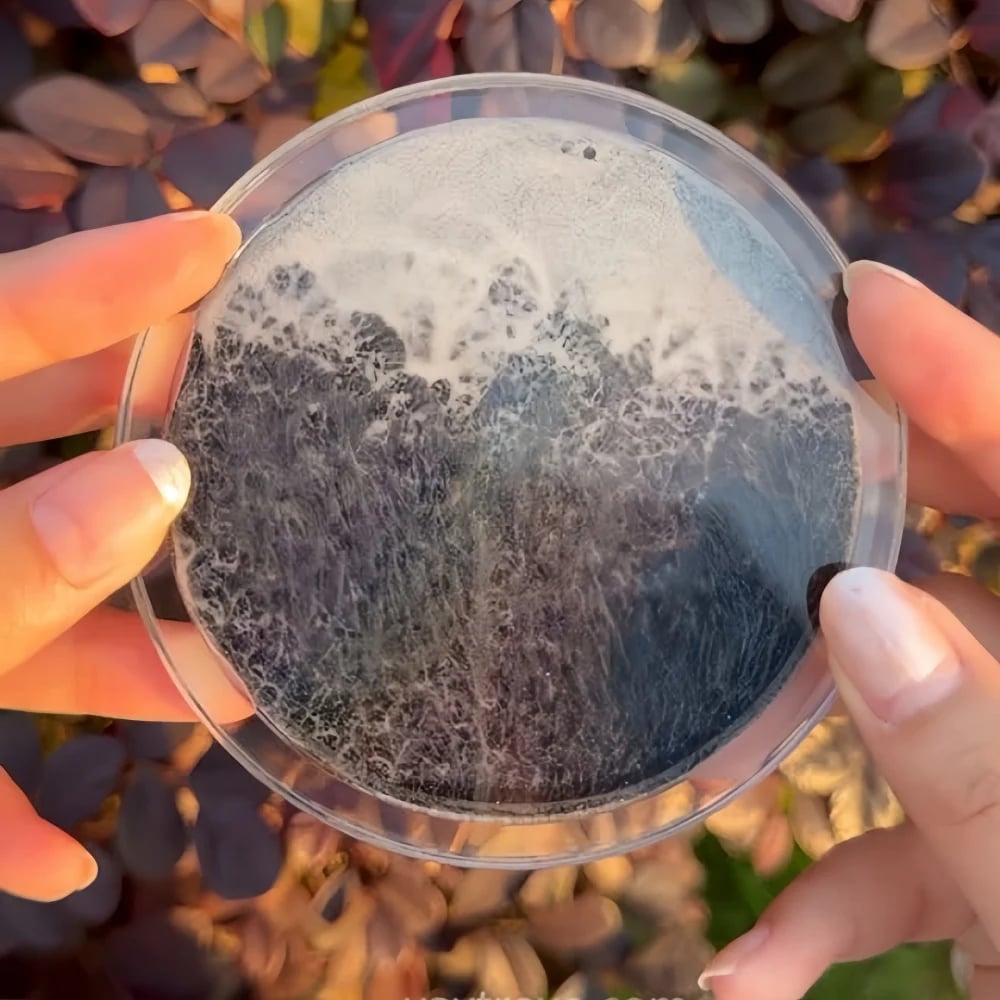 Ocean Tide — Handcrafted Moving Wave Sand Art Coaster