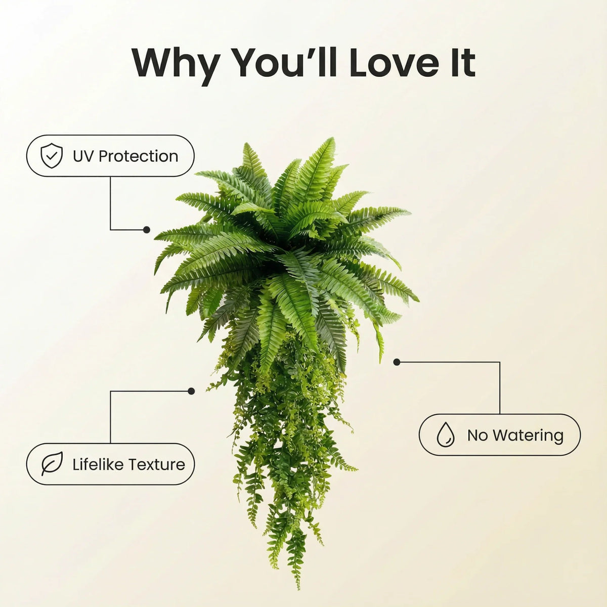 Boston fern feature overview showing UV protection, lifelike texture and no watering