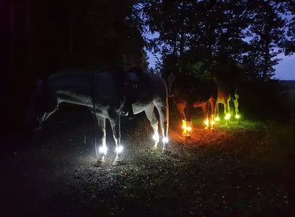 4-Pack LED Horse Leg Visibility Straps – 3 Lighting Modes, 5 Color Options, Adjustable Fit for Evening Riding & Equestrian Activities